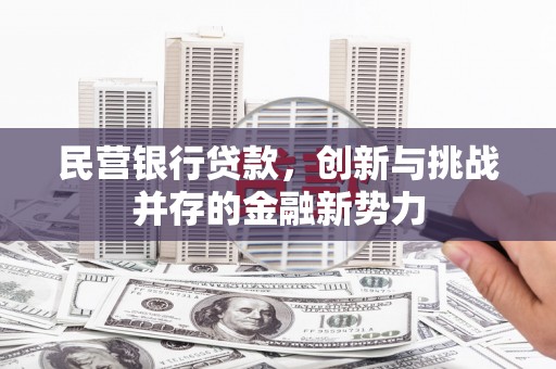 曹妃甸民营银行贷款，创新与挑战并存的金融新势力