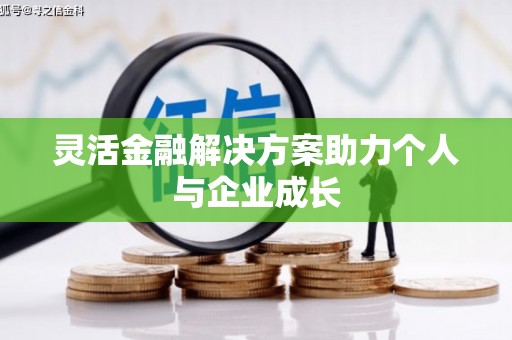 湖西灵活金融解决方案助力个人与企业成长