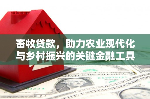 康县畜牧贷款，助力农业现代化与乡村振兴的关键金融工具