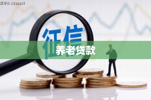 汉源养老贷款