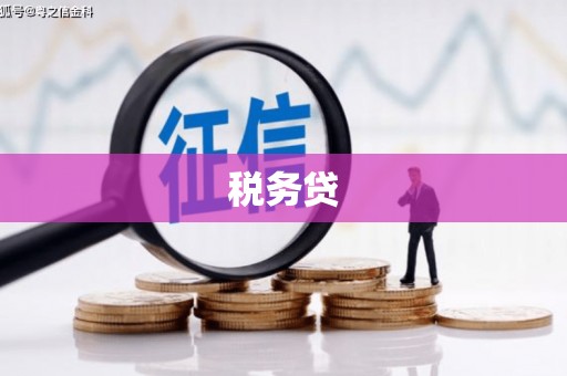 颍泉税务贷