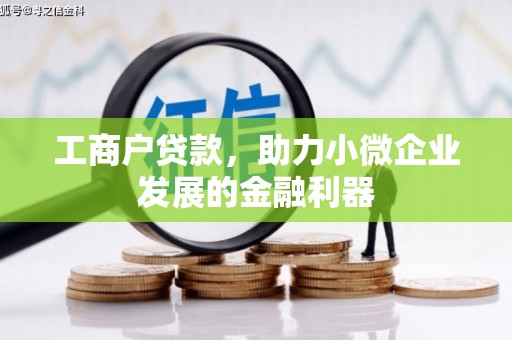卑南工商户贷款，助力小微企业发展的金融利器