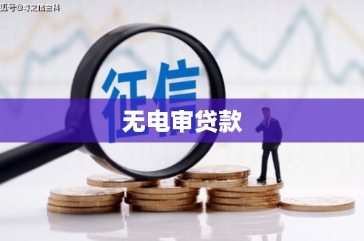 官田无电审贷款