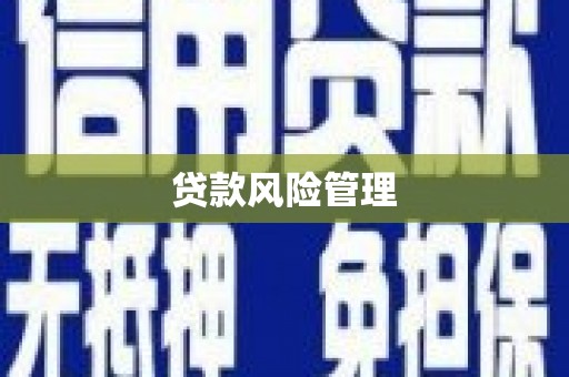 玉树贷款风险管理