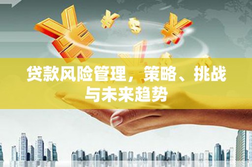 安定贷款风险管理，策略、挑战与未来趋势