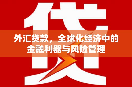 玉树外汇贷款，全球化经济中的金融利器与风险管理