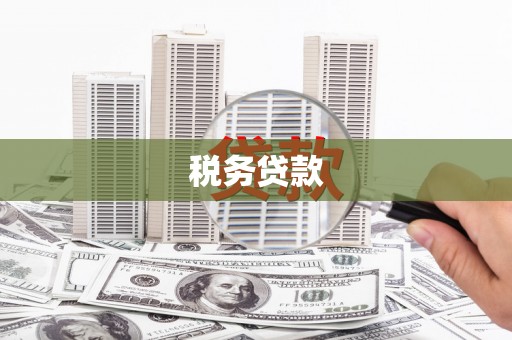 临邑税务贷款
