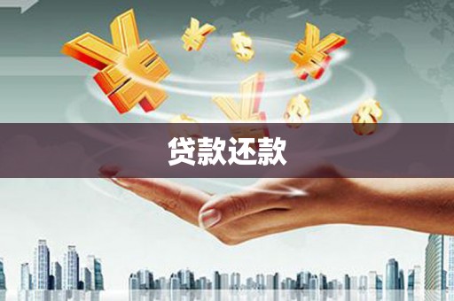 囊谦贷款还款