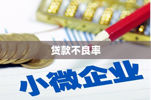 徽县贷款不良率