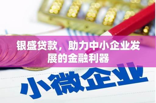 闽侯银盛贷款，助力中小企业发展的金融利器
