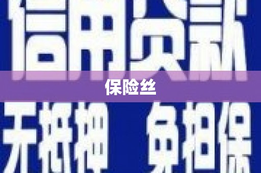 磁县保险丝