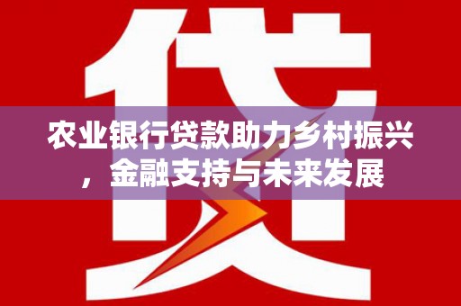 布拖农业银行贷款助力乡村振兴，金融支持与未来发展