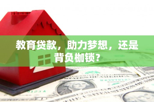 单县教育贷款，助力梦想，还是背负枷锁？