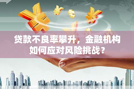 双柏贷款不良率攀升，金融机构如何应对风险挑战？