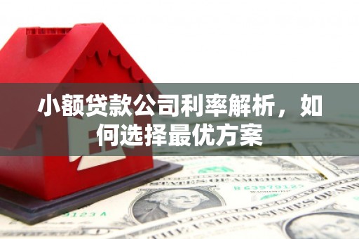 萍乡小额贷款公司利率解析，如何选择最优方案