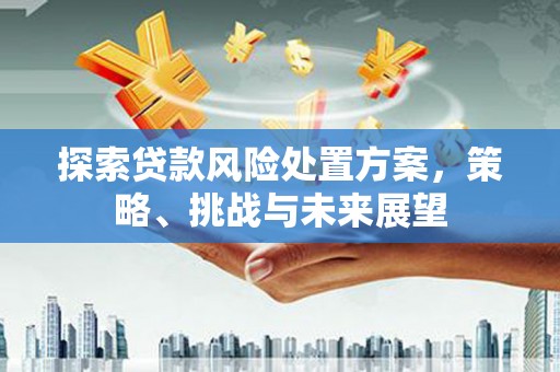 凯里探索贷款风险处置方案，策略、挑战与未来展望