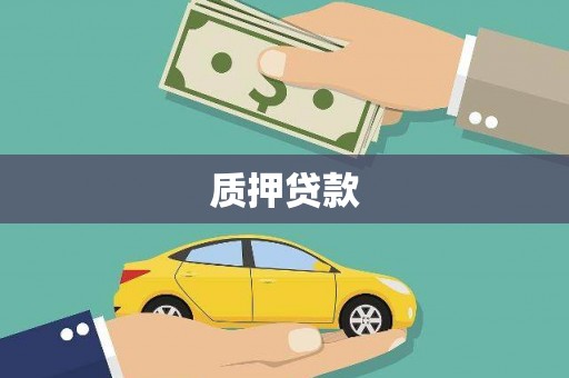 金阳质押贷款