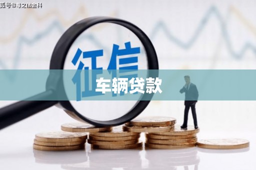 达孜车辆贷款