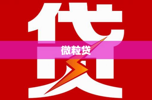源城微粒贷