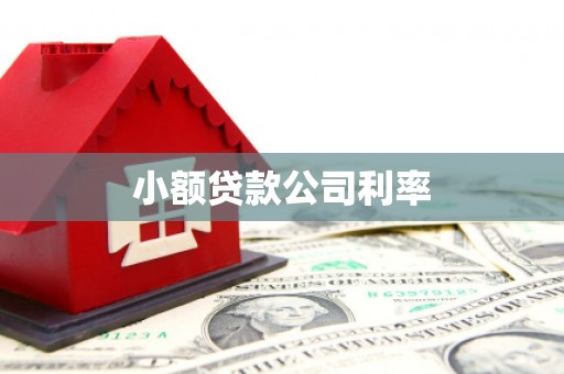 哈尔滨小额贷款公司利率