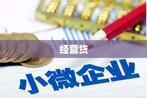 舞钢经营贷