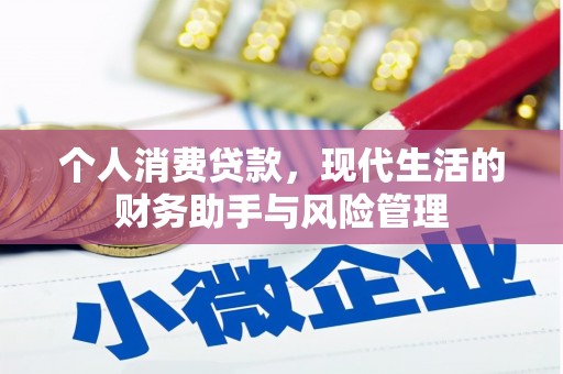 南投个人消费贷款，现代生活的财务助手与风险管理