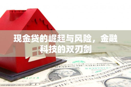 新蔡现金贷的崛起与风险，金融科技的双刃剑
