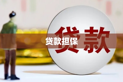 崖州贷款担保