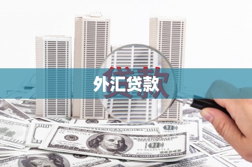 泊头外汇贷款