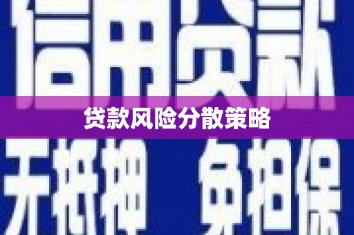 芷江贷款风险分散策略