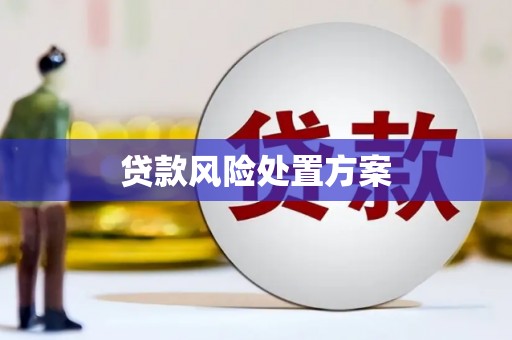 望奎贷款风险处置方案
