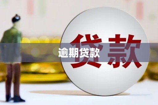 二水逾期贷款