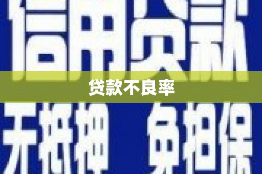 安仁贷款不良率