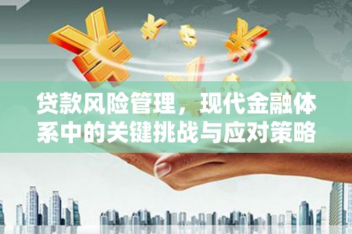 陵城贷款风险管理，现代金融体系中的关键挑战与应对策略