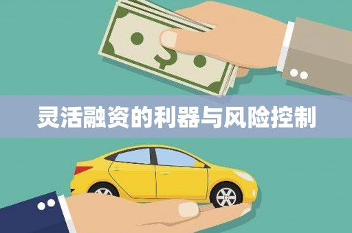 泗县灵活融资的利器与风险控制