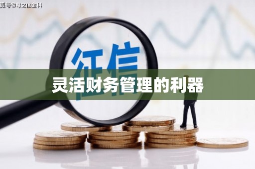 赤壁灵活财务管理的利器