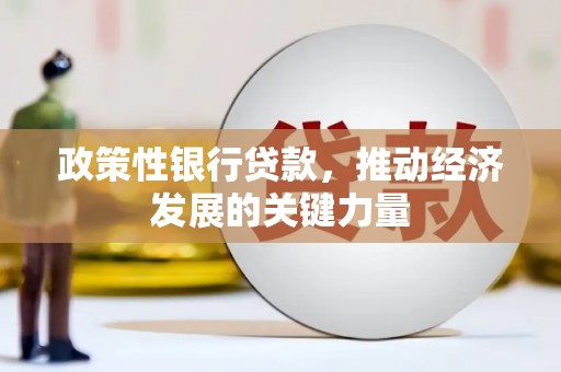 南投政策性银行贷款，推动经济发展的关键力量