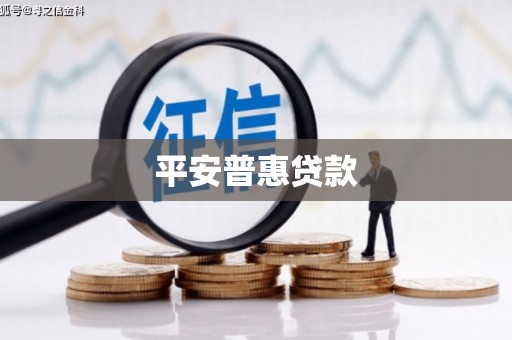 西市平安普惠贷款