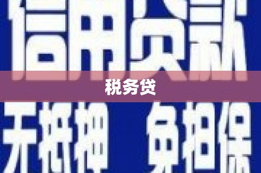 叶城税务贷