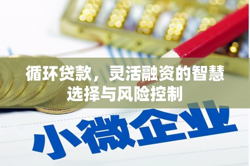 林园循环贷款，灵活融资的智慧选择与风险控制