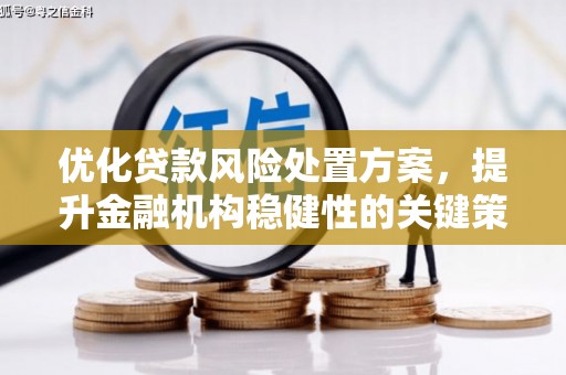 山阳优化贷款风险处置方案，提升金融机构稳健性的关键策略