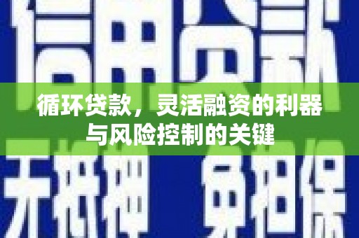 蓬溪循环贷款，灵活融资的利器与风险控制的关键