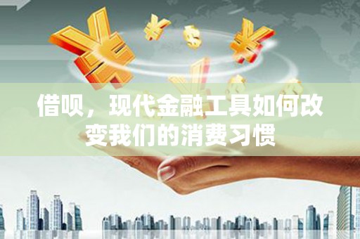 濮阳借呗，现代金融工具如何改变我们的消费习惯