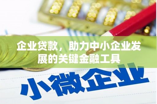 沙田企业贷款，助力中小企业发展的关键金融工具