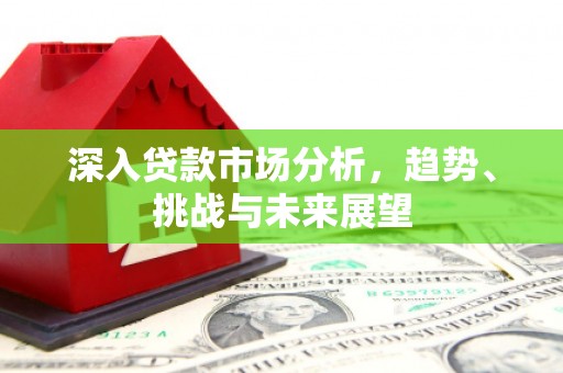 西屿深入贷款市场分析，趋势、挑战与未来展望