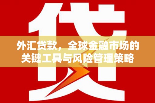 德江外汇贷款，全球金融市场的关键工具与风险管理策略