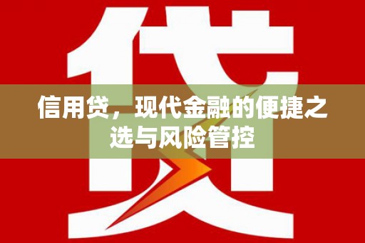 宁波信用贷，现代金融的便捷之选与风险管控