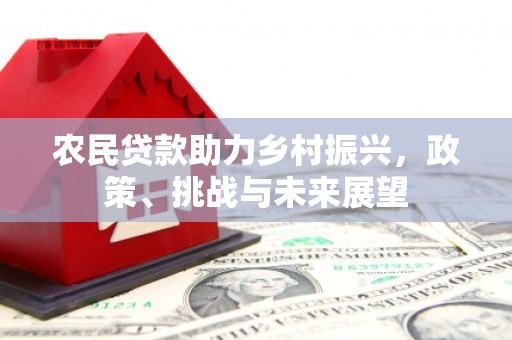 梓潼农民贷款助力乡村振兴，政策、挑战与未来展望