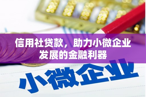 加查信用社贷款，助力小微企业发展的金融利器