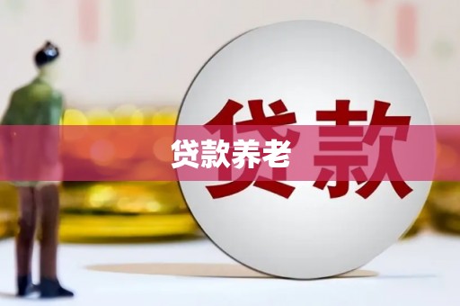 库车贷款养老